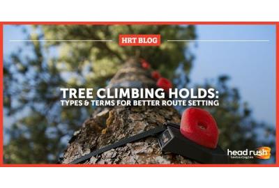 tree climbing holds from below
