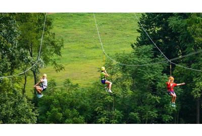 three people on a zip line with trees in background