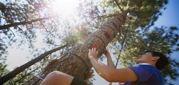 Head Rush Technologies Releases Innovative New Product: The Arboreal Tree Climbing System