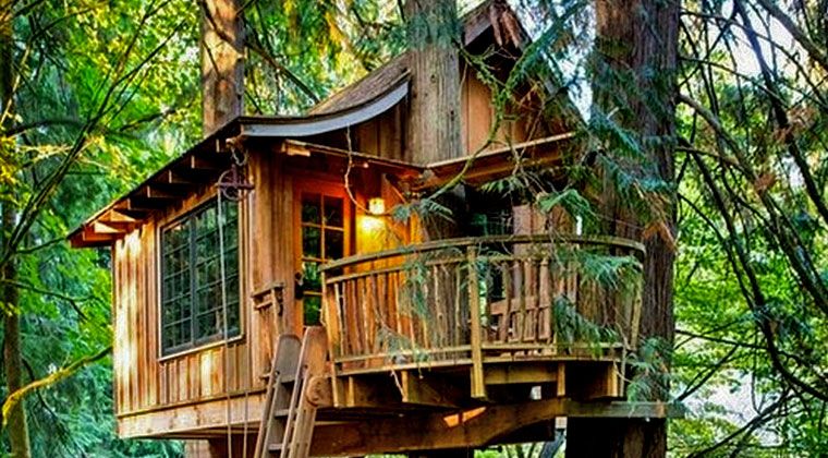treehouse deck
