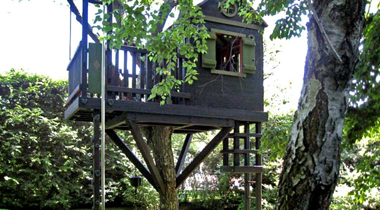 Treehouse firepole