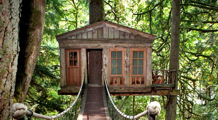 Treehouse recycled materials