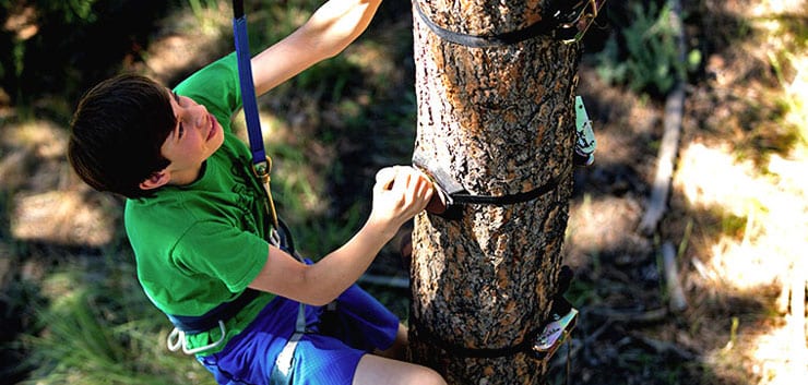 kid climbing on arboreal tree climbing system