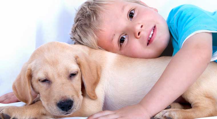 kid with golden retriever puppy