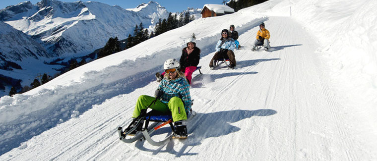 people sledding on snowy hill